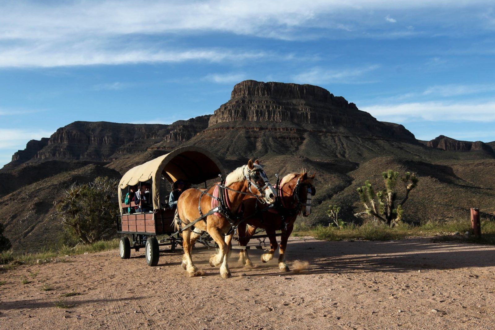 A covered wagon and team of draught horses below the red face of Spirit Mountain