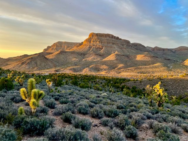 The mesa above the ranch catching the first light of the day