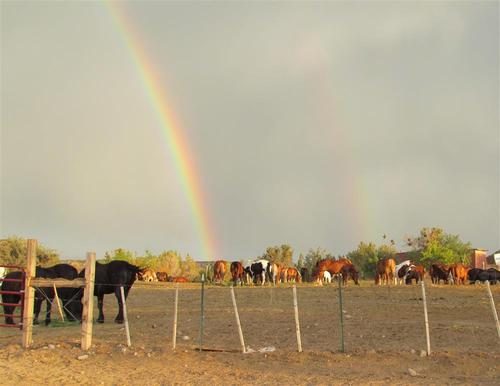 A rainbow over the horse corral after desert rain