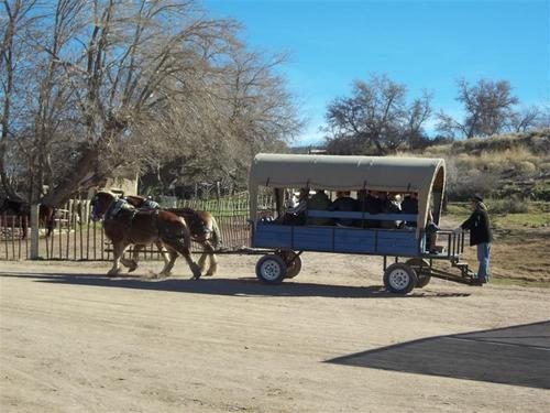 A covered wagon and team on the dirt road beside the ranch buildings