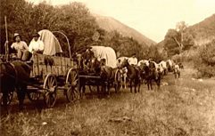 Archive photograph of a wagon train on the Mormon Trail